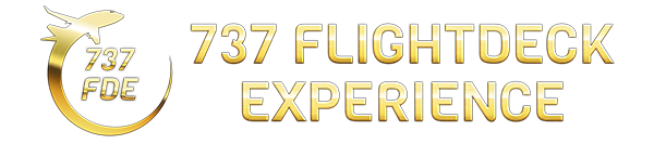 737 - Flightdeck Experience